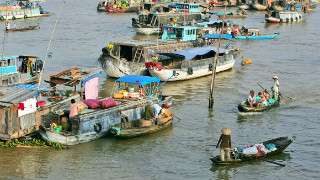 cho-noi-cai-rang